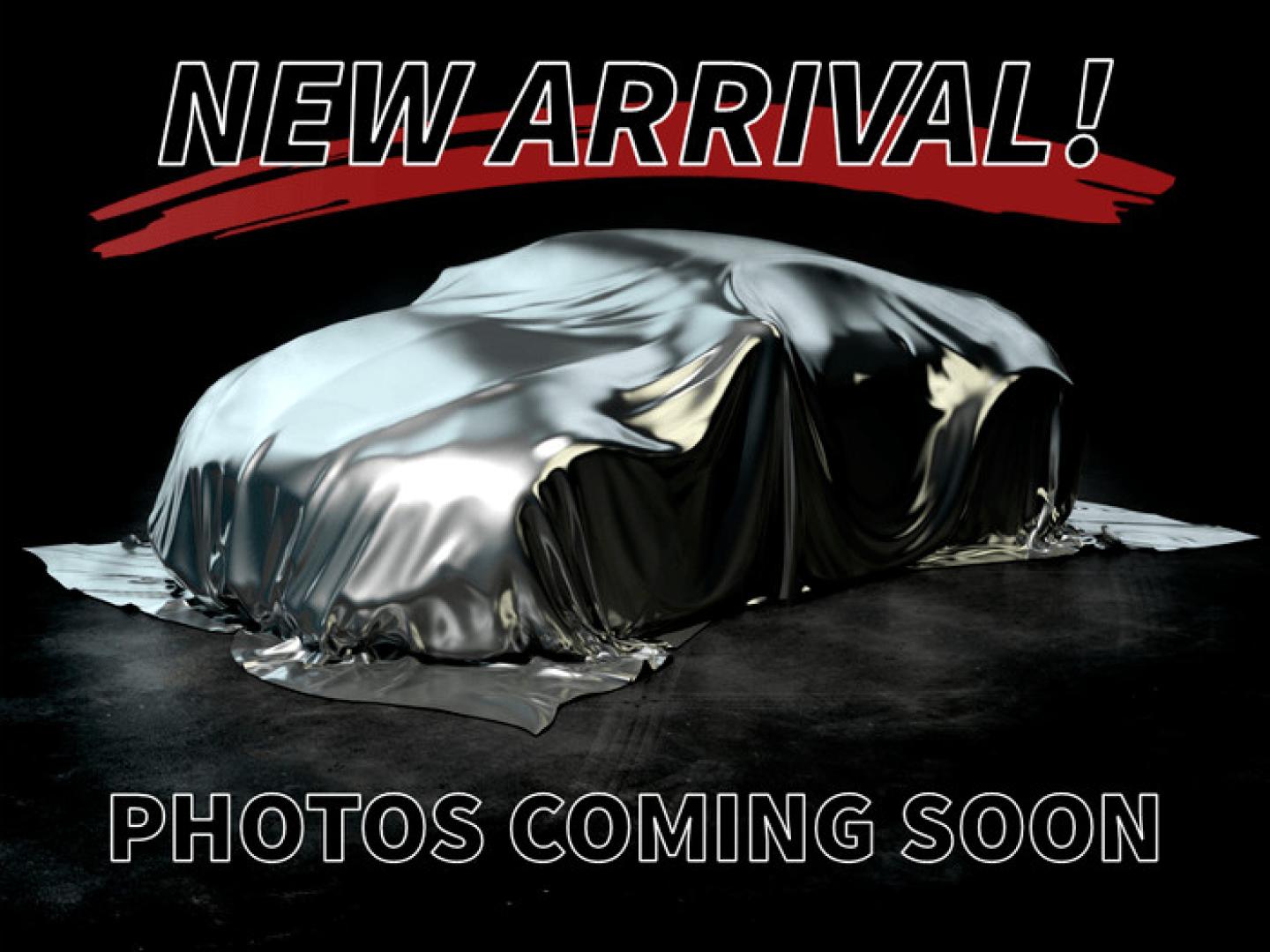 2006 TAN /TAN LEAHER Lincoln Mark LT 4WD (5LTPW18526F) with an 5.4L V8 SOHC 24V engine, 4-Speed Automatic Overdrive transmission, located at 821 N. Prince Street, Clovis, NM, 88101, (575) 762-8852, 34.406643, -103.195999 - Photo#0