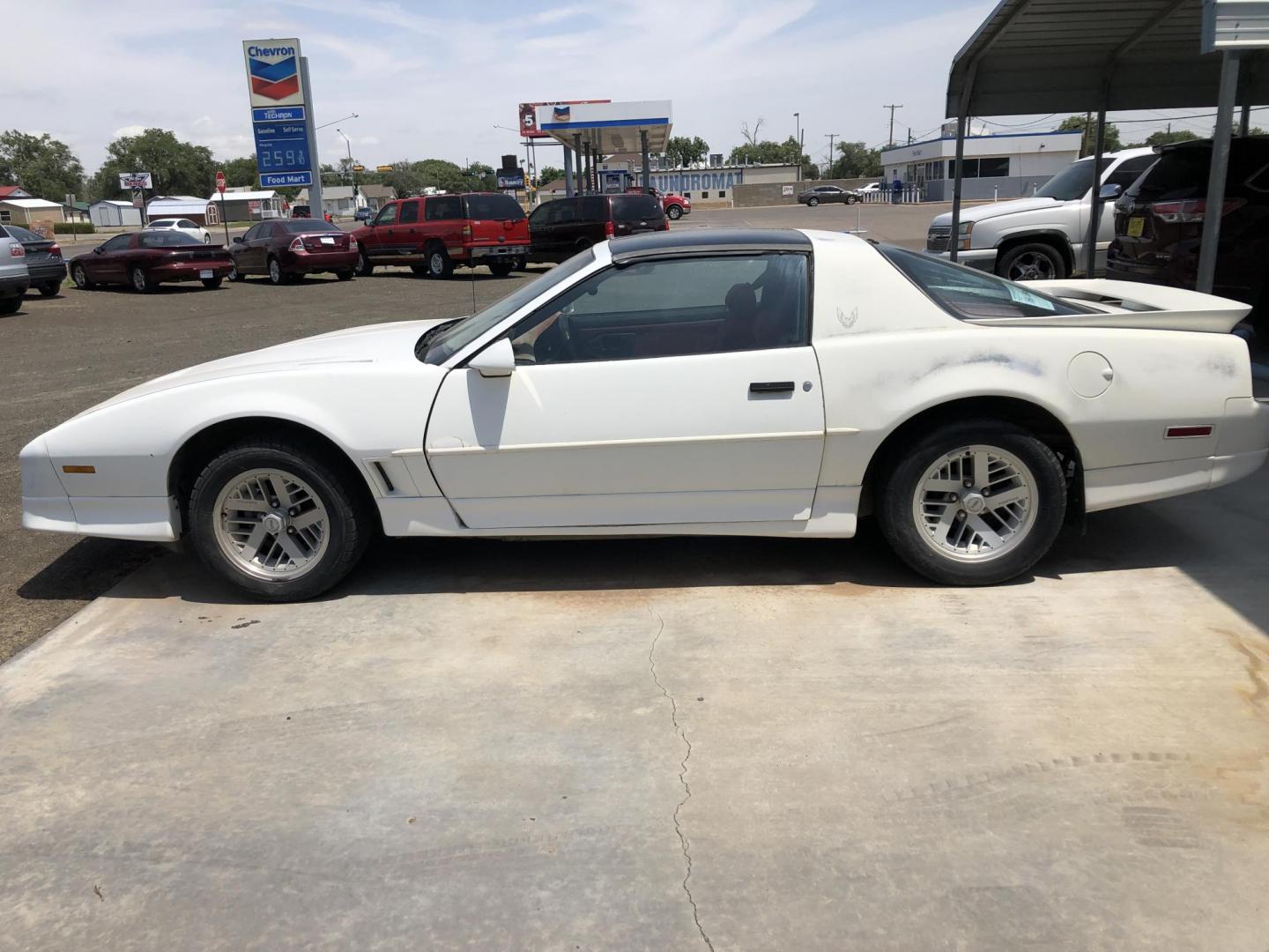 1988 WHITE /RED CLOTH Pontiac Trans Am GTA hatchback (1G2FW21E1JL) with an 5.0L V8 OHV 16V engine, located at 821 N. Prince Street, Clovis, NM, 88101, (575) 762-8852, 34.406643, -103.195999 - NEW PAINT WITH GHOST FLAMES - Photo#1