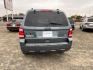 2012 Blue Ford Escape (1FMCU0DG9CK) , located at 821 N. Prince Street, Clovis, NM, 88101, (575) 762-8852, 34.406643, -103.195999 - Photo#1