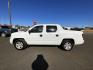 2008 WHITE Honda Ridgeline RT (2HJYK16298H) with an 3.5L V6 SOHC 24V engine, 5-Speed Automatic transmission, located at 821 N. Prince Street, Clovis, NM, 88101, (575) 762-8852, 34.406643, -103.195999 - Photo#0