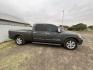 2008 Gray Nissan Titan LE Crew Cab 2WD LWB (1N6BA07G98N) with an 5.6L V8 DOHC 32V FFV engine, 5-Speed Automatic Overdrive transmission, located at 821 N. Prince Street, Clovis, NM, 88101, (575) 762-8852, 34.406643, -103.195999 - Photo#1