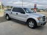 2013 Silver Ford F-150 Platinum SuperCrew 6.5-ft. Bed 2WD (1FTFW1CT4DF) with an 3.5L V6 TURBO engine, 6-Speed Automatic transmission, located at 821 N. Prince Street, Clovis, NM, 88101, (575) 762-8852, 34.406643, -103.195999- Photo#1